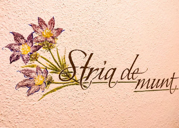Agriturismo Anvi