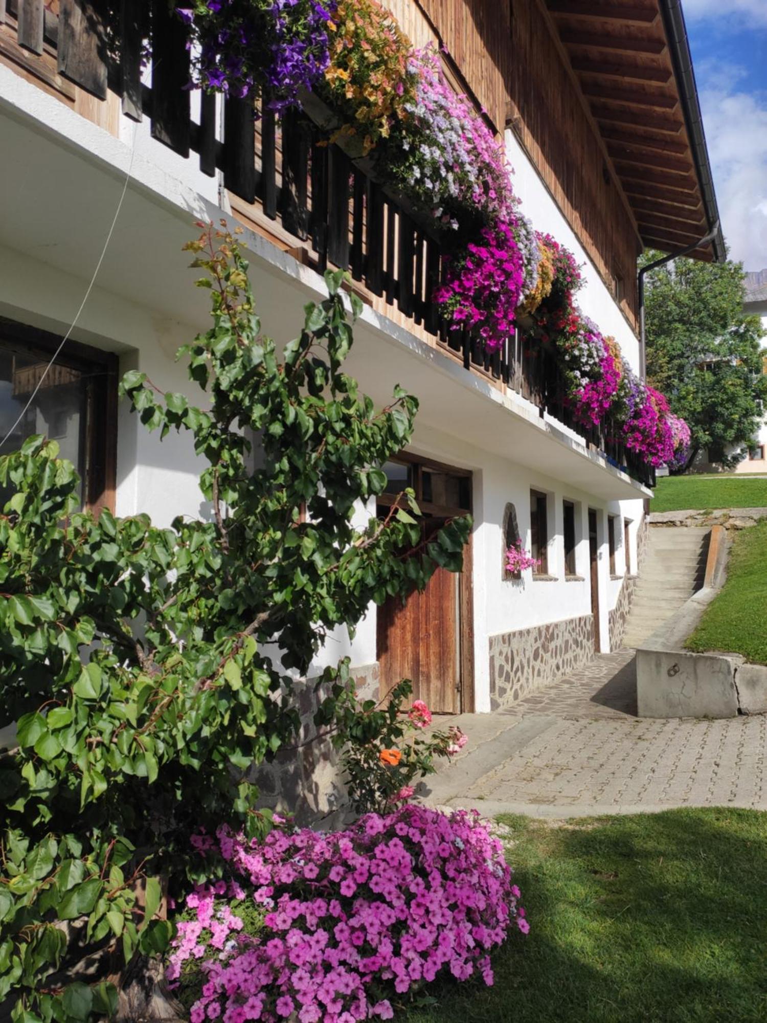 Apartment Anvi Badia (South Tyrol)