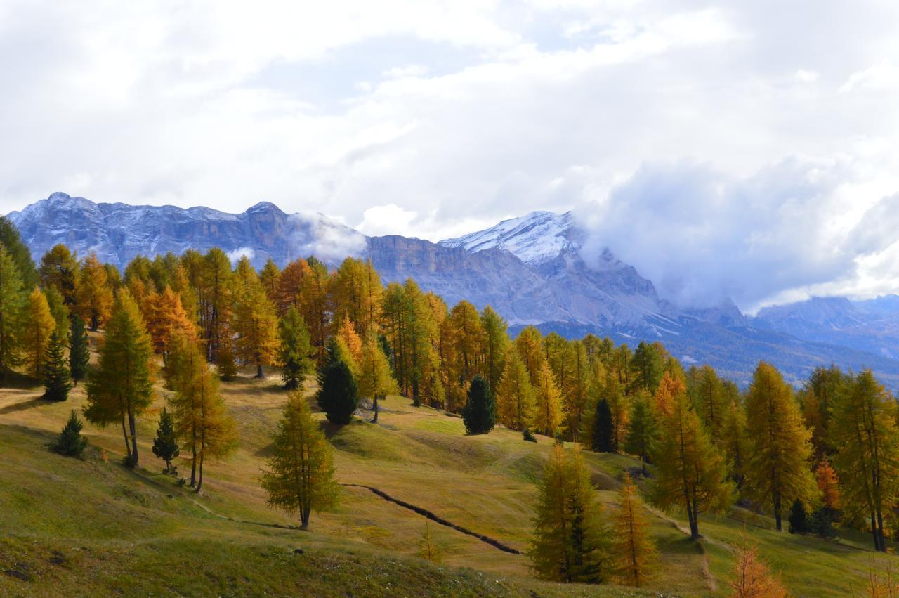 Anvi * Badia (South Tyrol)
