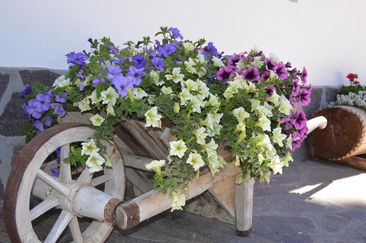 Anvi Appartement Badia (South Tyrol)